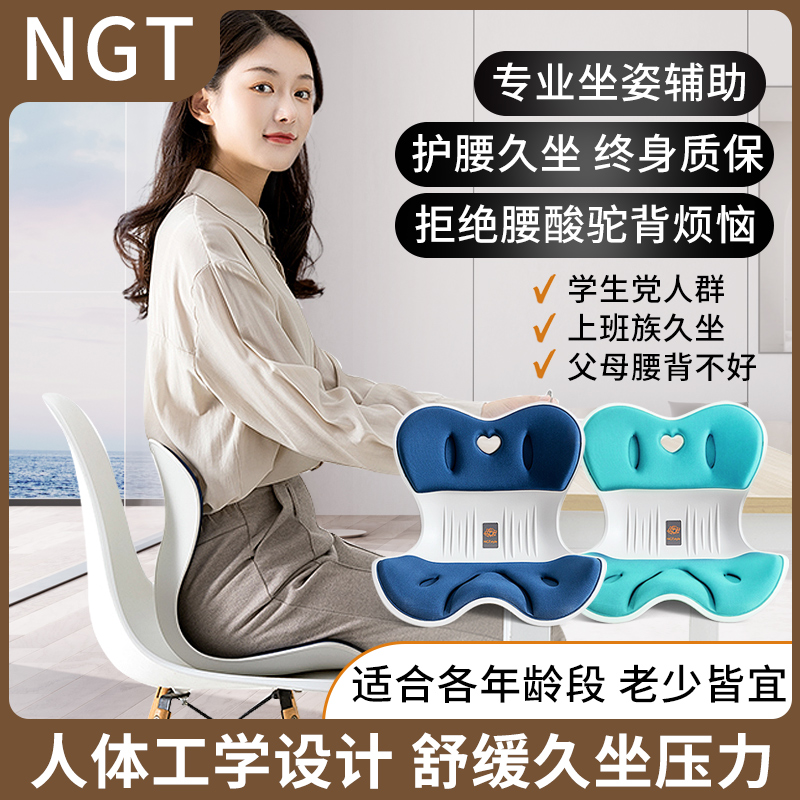 NGT style官方旗舰店护腰坐垫人体工学坐姿椅腰靠座椅靠背神器