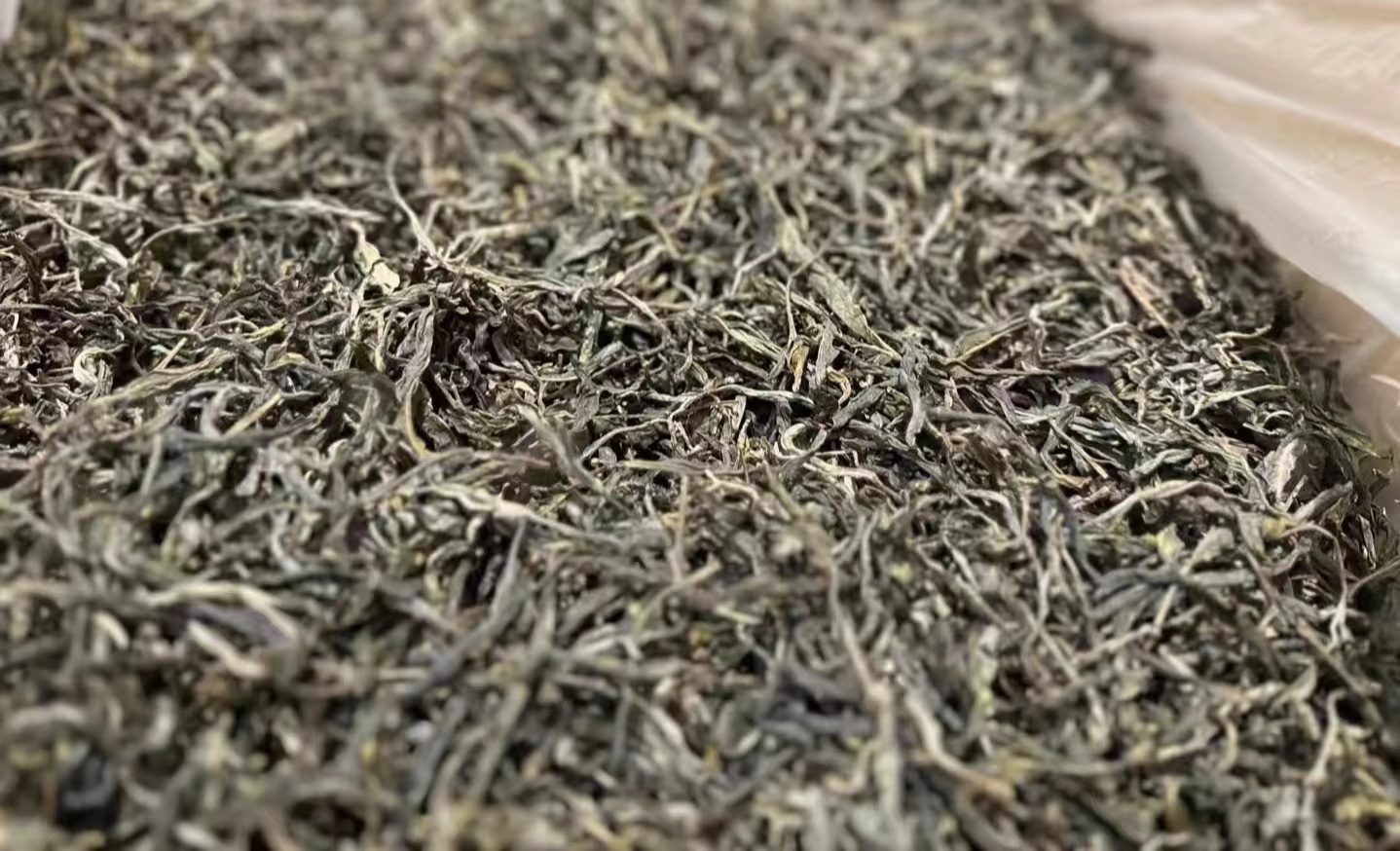 【小店好评款】忙肺正山2024年古树头春 普洱茶（生茶）散料