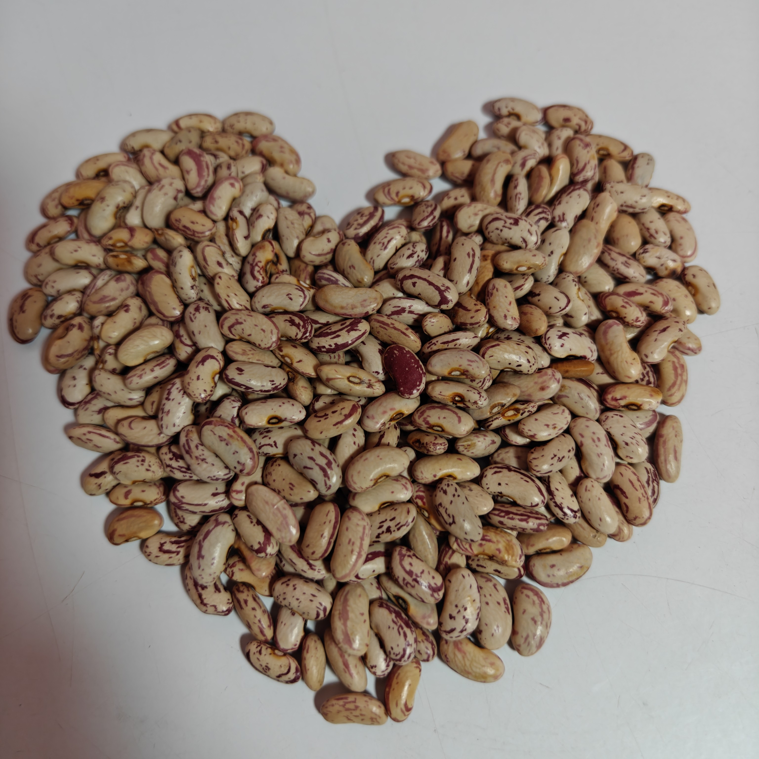 嘉荫农村小园种的饭豆二斤包邮