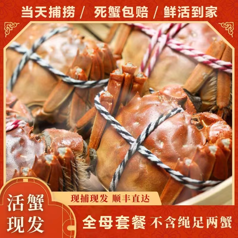 【精品活蟹】蟹语阁活蟹(2两-2.3两)8只母蟹送2只到手10只