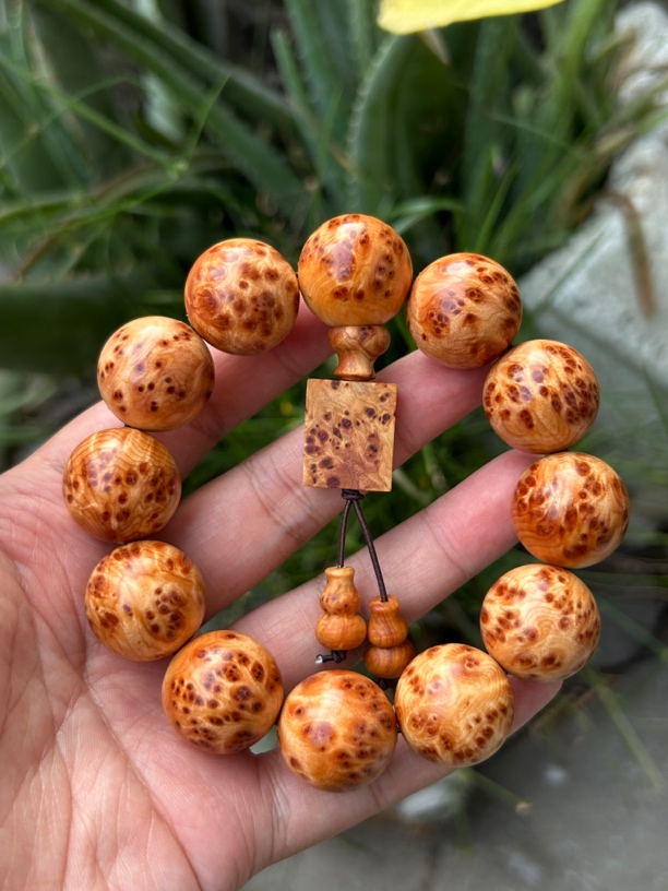 正宗川料崖柏手盘手串2.0凉山崖柏老料小满瘤疤佛珠手盘手串