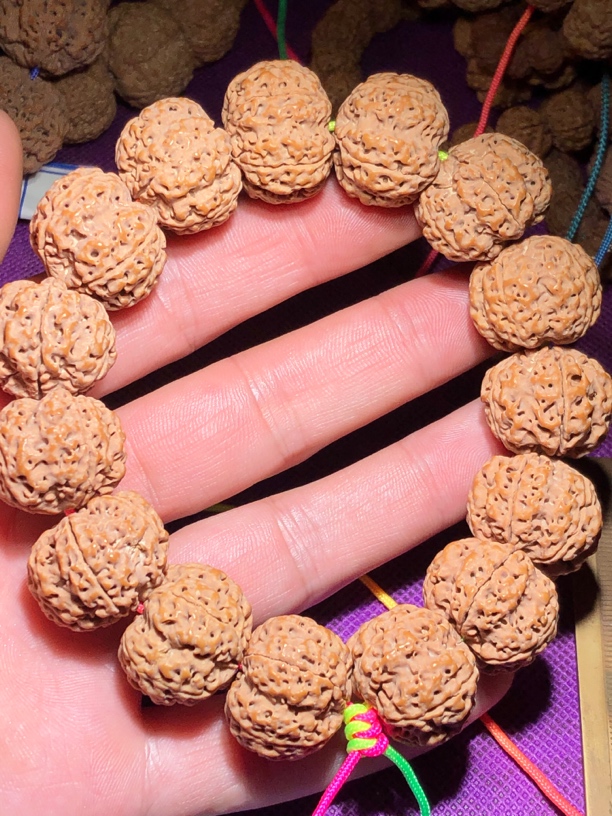 梅花双龙 大金刚