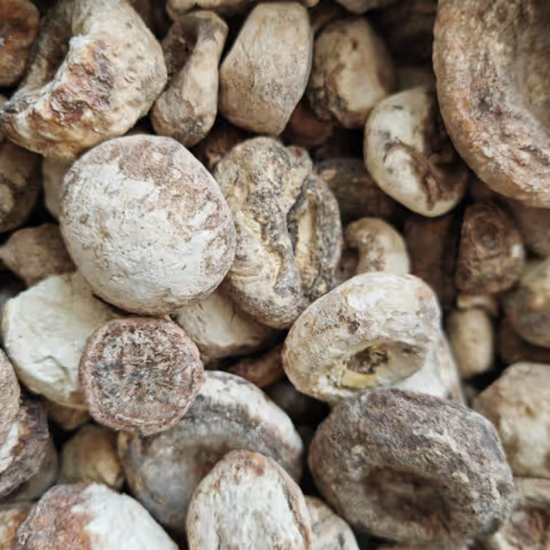 精选生晒天南星原生态干品新货无炮制无熏硫农产品根茎类