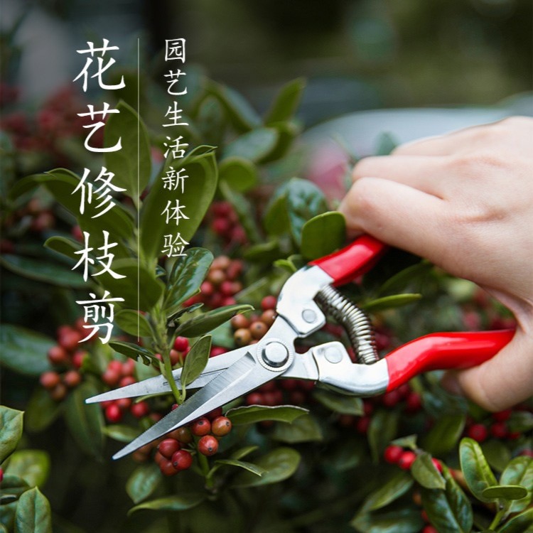 园艺剪修枝剪枝园林修花剪子园艺剪刀修枝剪刀修剪花卉剪花枝花剪