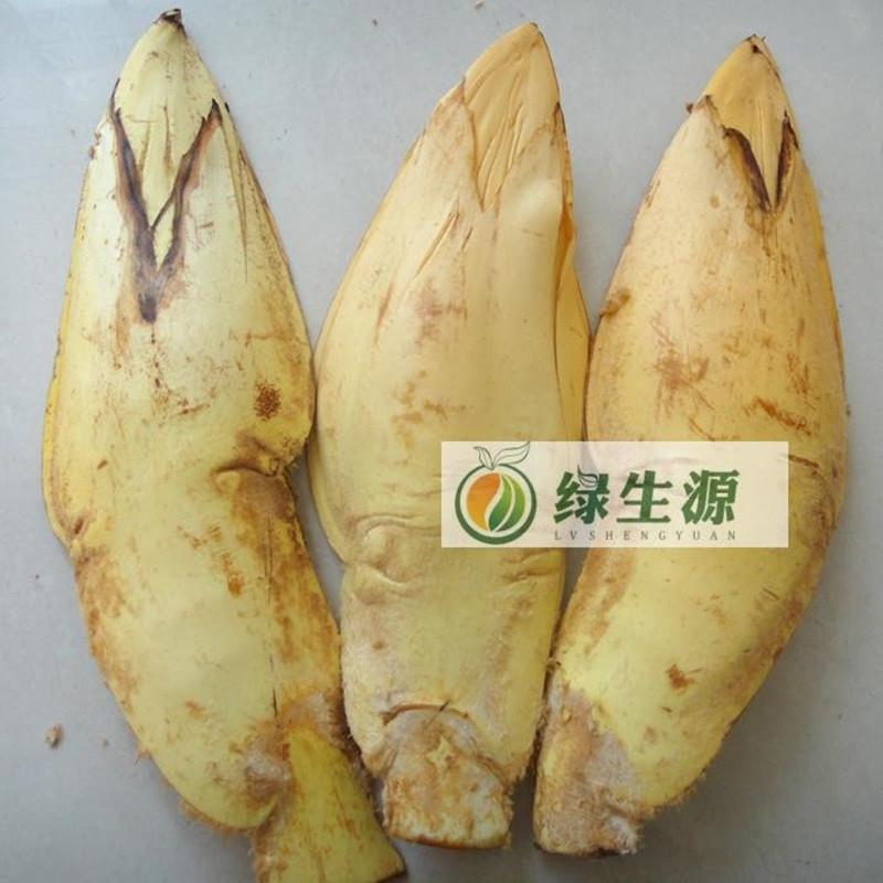 云南特产野菜腾冲野生新鲜棕包米棕笋粽包花棕树尖1斤包邮