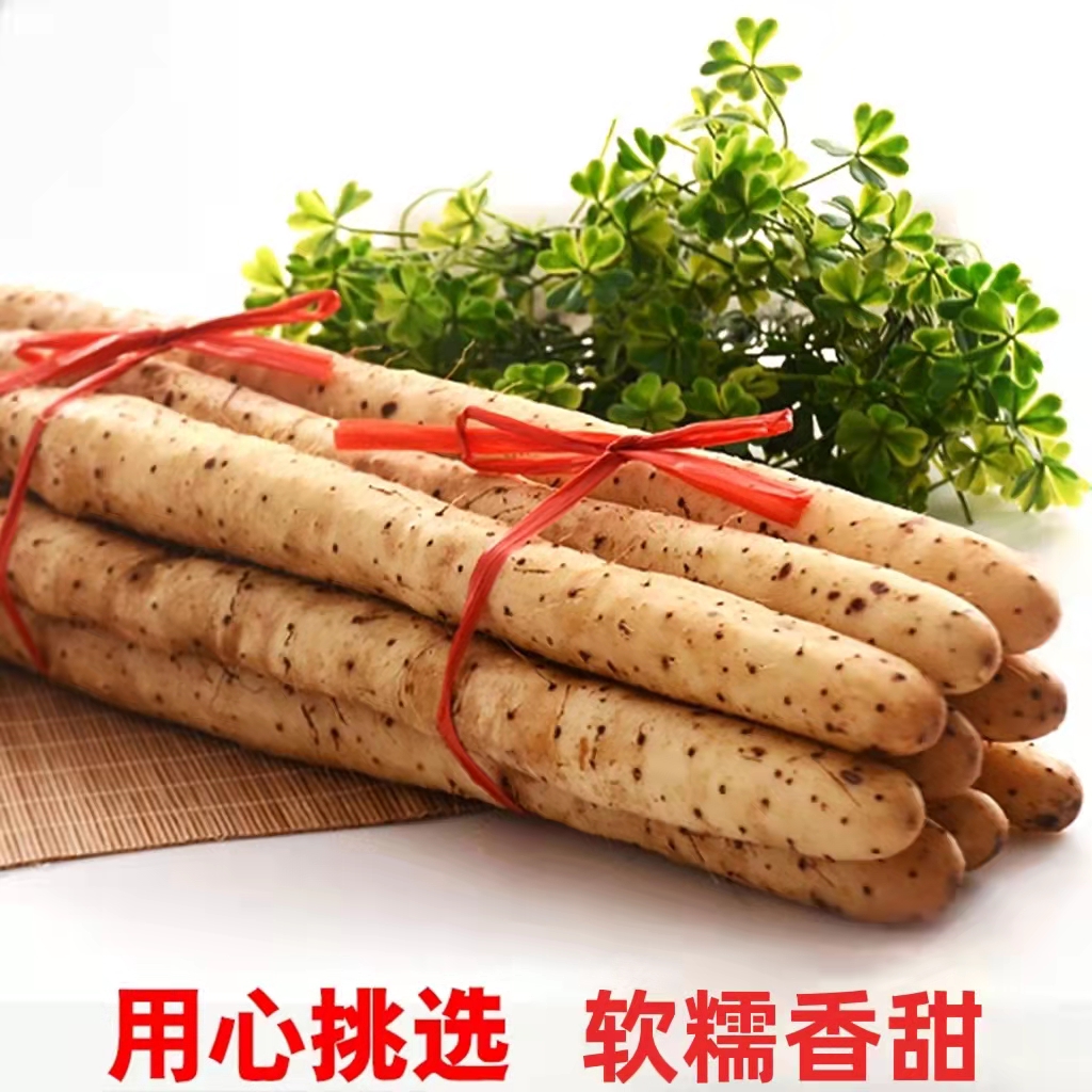 新鲜现挖粉糯铁棍山药当季新鲜蔬菜5斤装气防摔柱包装整箱装包邮