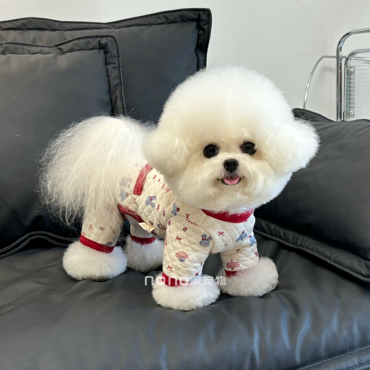 狗狗衣服秋冬新款婴儿棉四脚裤夹棉马甲宠物比熊泰迪柔软居家服