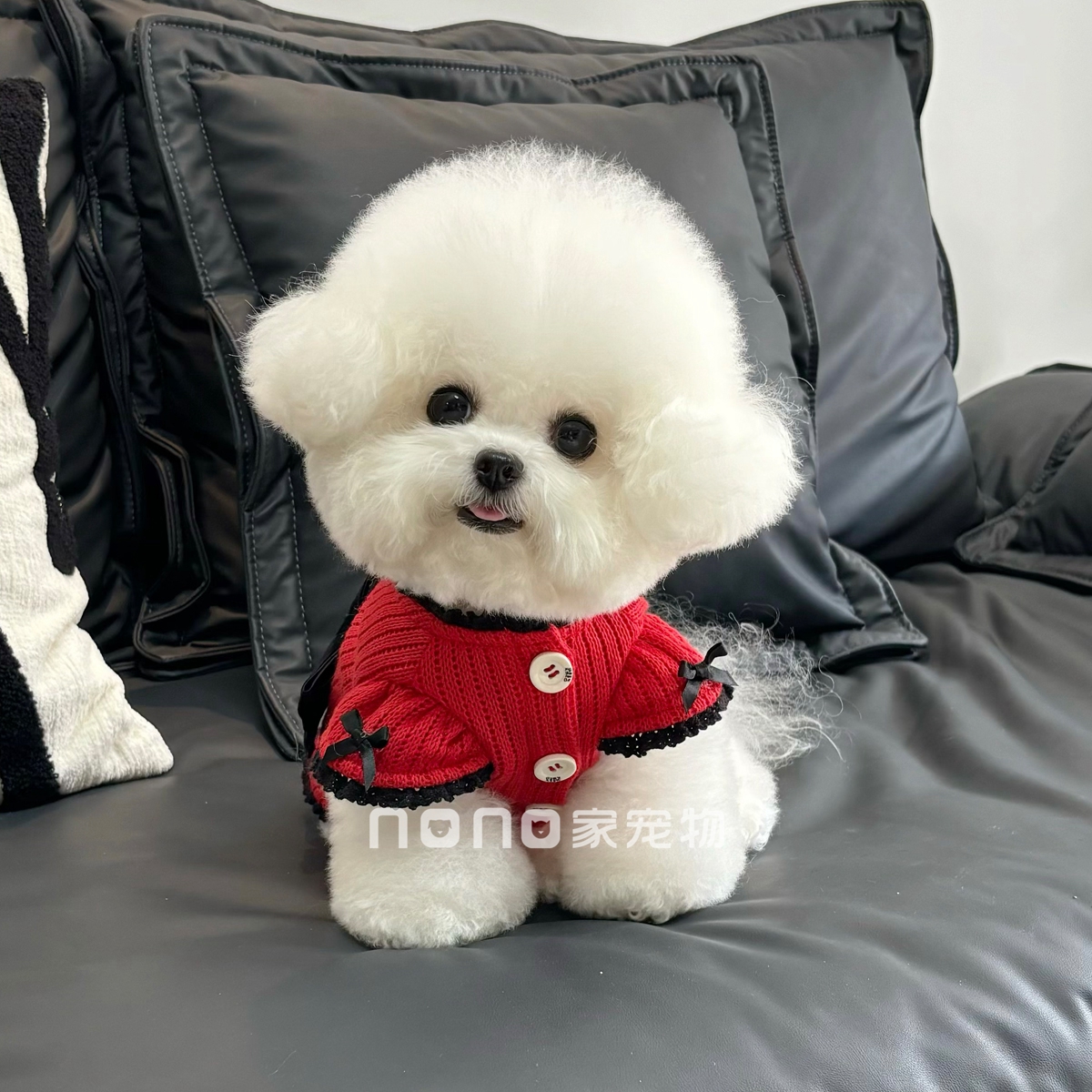 狗狗衣服秋冬新款蝴蝶结加绒保暖毛衣宠物比熊泰迪圣诞新年礼服