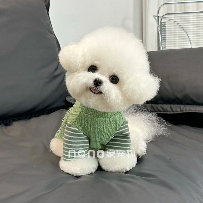 比熊狗狗衣服秋冬新款D字扣拼接卫衣舒适柔软打底衫宠物猫咪泰迪