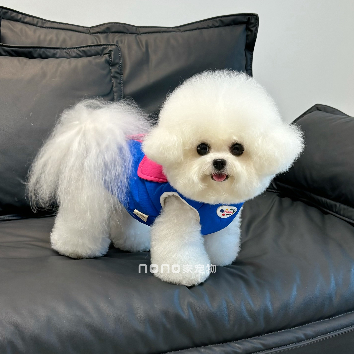 狗狗衣服秋冬新款加绒拼接防水马甲保暖外套带牵引扣宠物比熊泰迪