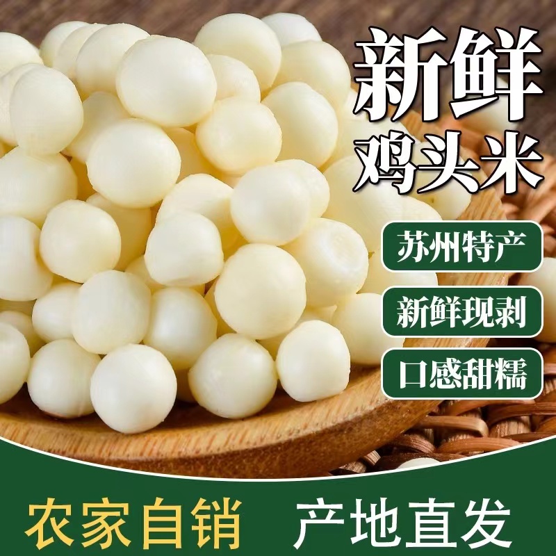 【机剥大颗粒囤货】3斤5斤正宗苏州鸡头米机剥中大米新鲜芡实苏芡