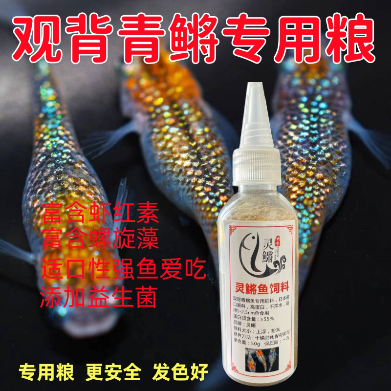 鱼粮饲料小型鱼饲料青鳉鱼斑马鱼孔雀灯科鱼小颗粒白云金丝高蛋白