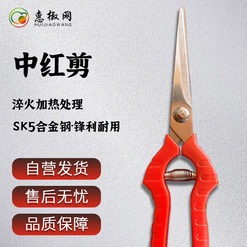 花椒剪中红剪 SK5合金钢 锋利耐用不锈钢锯齿开刃安全园艺剪刀