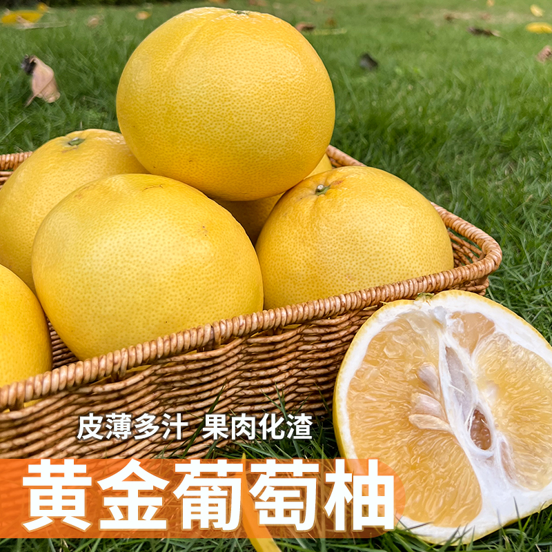 平和琯溪黄金葡萄柚带箱约10斤