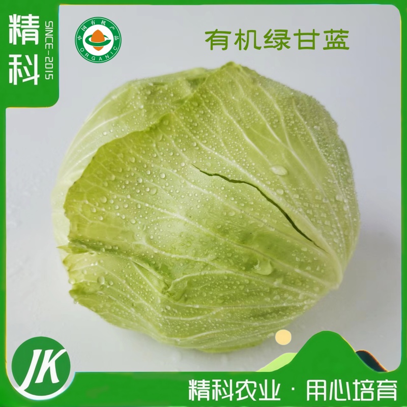 精科优鲜·有机绿甘蓝500g装 有机种植 清甜可口 无农残 清脆 松脆