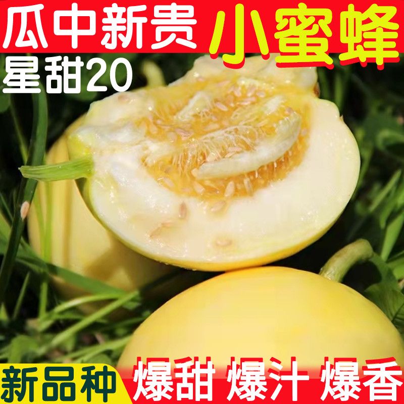【顺丰京东包邮】正宗小蜜罐甜瓜玉菇香瓜新鲜应季水果2/3/4.5斤装