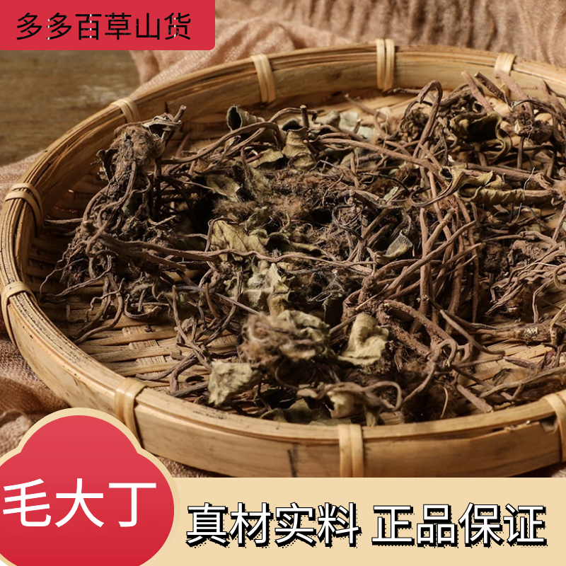 新货毛大丁草品质一柱香新草耳一枝香臭假耳草叶菜散装250g-1000g