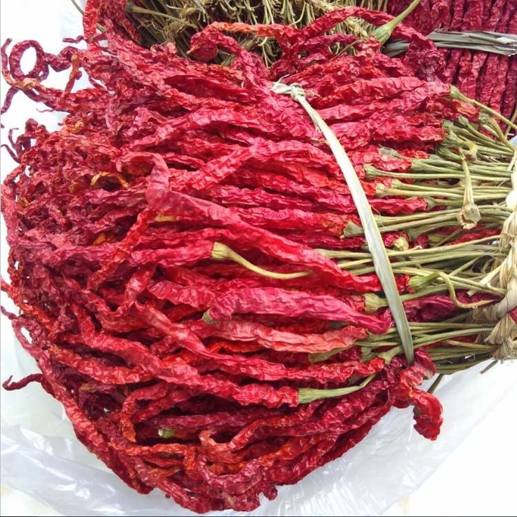 微辣特香二荆条辣椒贵州大方特产干辣椒皱椒线椒香辣干货