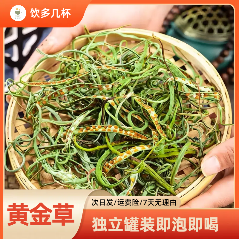 嘎嘎猛黄金草东北小叶茶长白山深山草嗷嗷叫大哥茶老公男朋友茶09