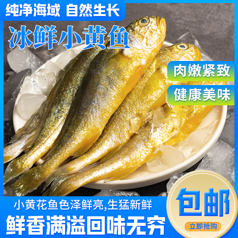 新鲜野生小黄鱼4斤（一斤14条）液氮锁鲜发货