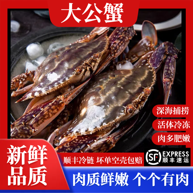 大公蟹5-7两/只【冻蟹】船冻活冻梭子蟹飞蟹（不可清蒸）（3斤）