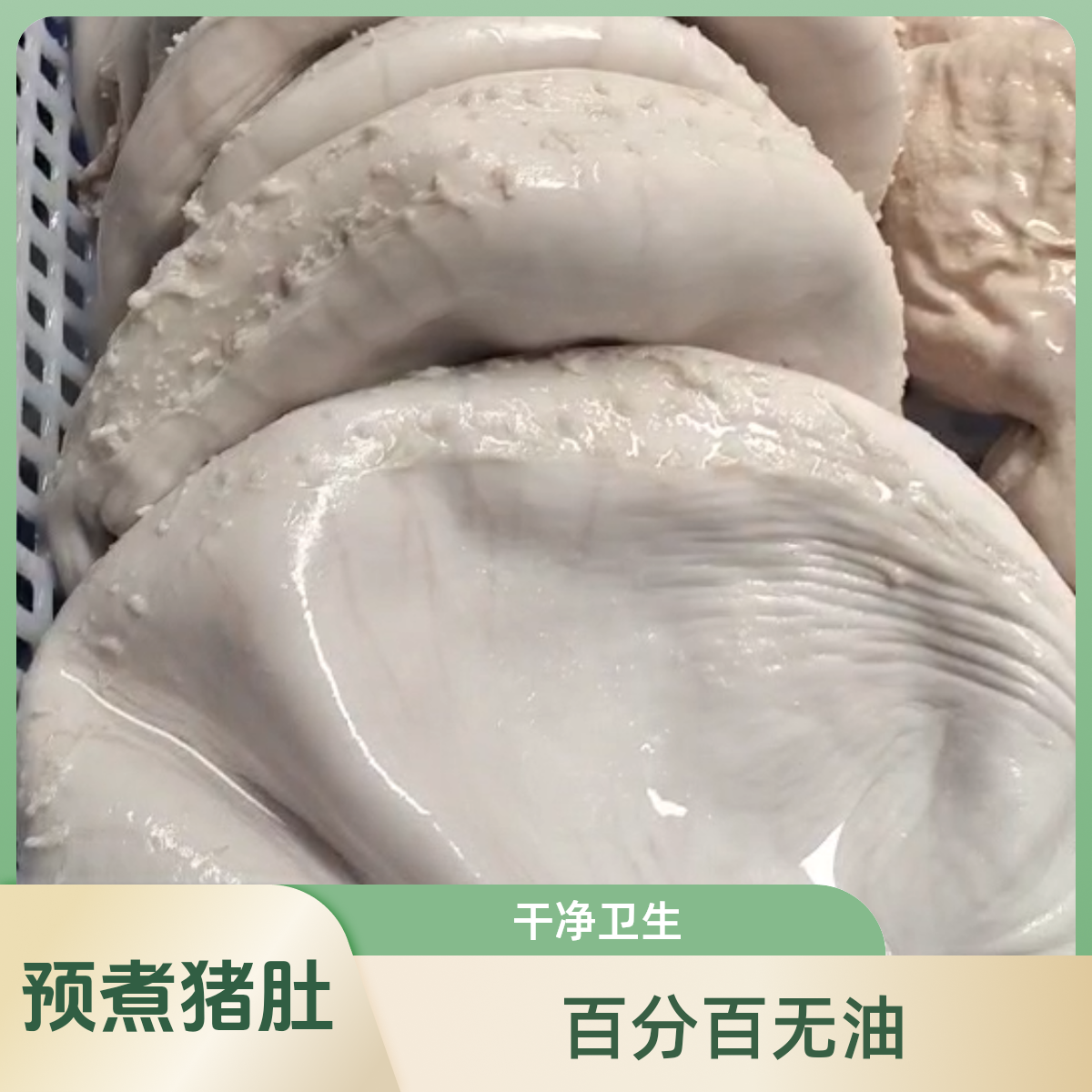 {拍前称重}50一斤预煮免洗猪肚子