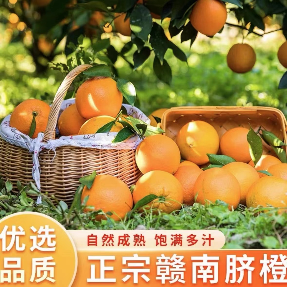 【树品源】正宗赣南脐橙新鲜采摘当季甜橙子4.6-4.8斤 坏果包赔