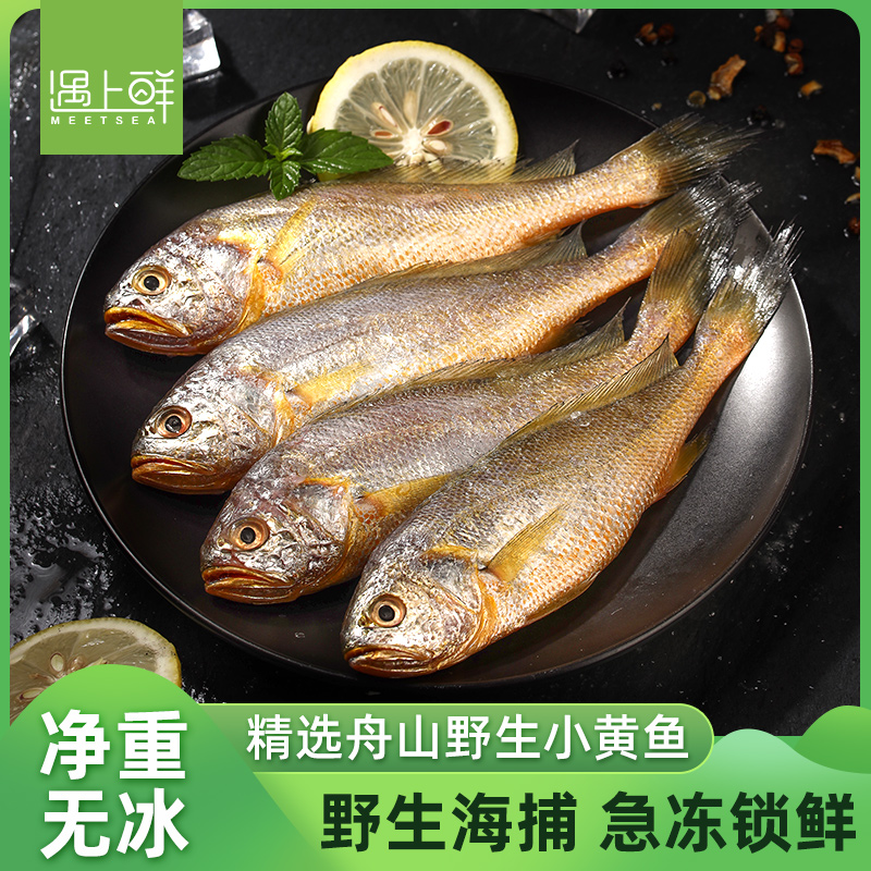 舟山野生小黄鱼 深海捕捞  鲜活速冻 深海渔场 肉质美味 冷运配送