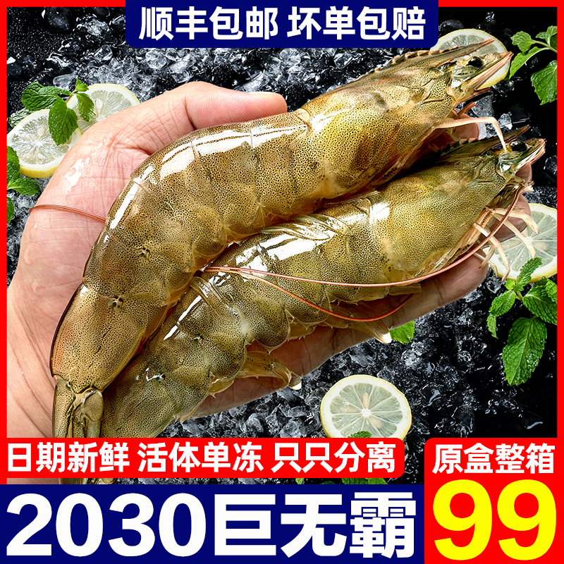 2030特大虾原盒海虾对虾白虾青虾基围虾鲜活海鲜水产冷冻新鲜速冻