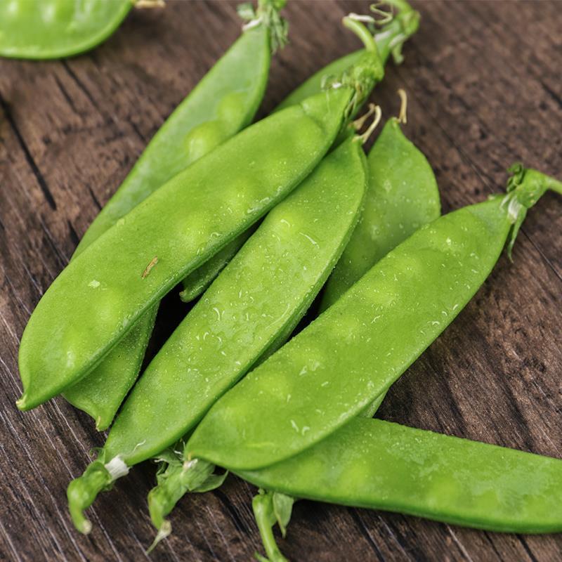 农家种植露天新鲜荷兰豆蔬菜脆甜青豆荚现摘当季新鲜