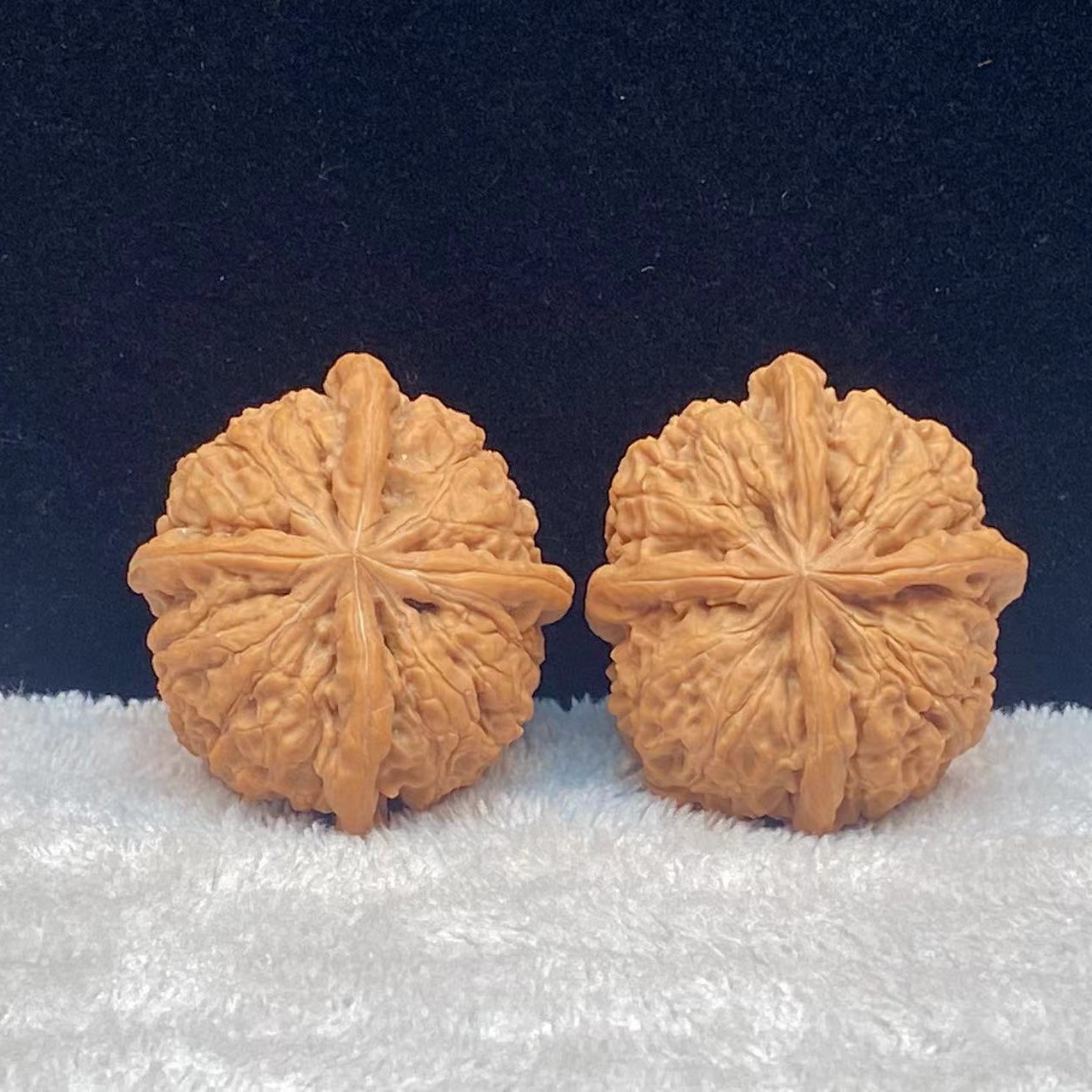 纯野生原生树麻核桃四棱边42+37+高33