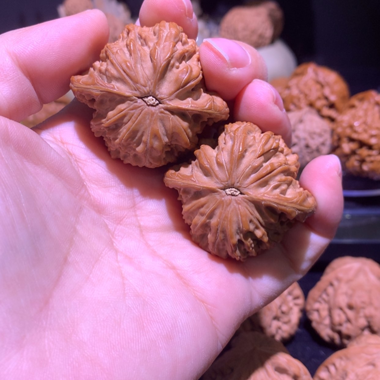 【闪购商品】文玩核桃把件又**叕43磨