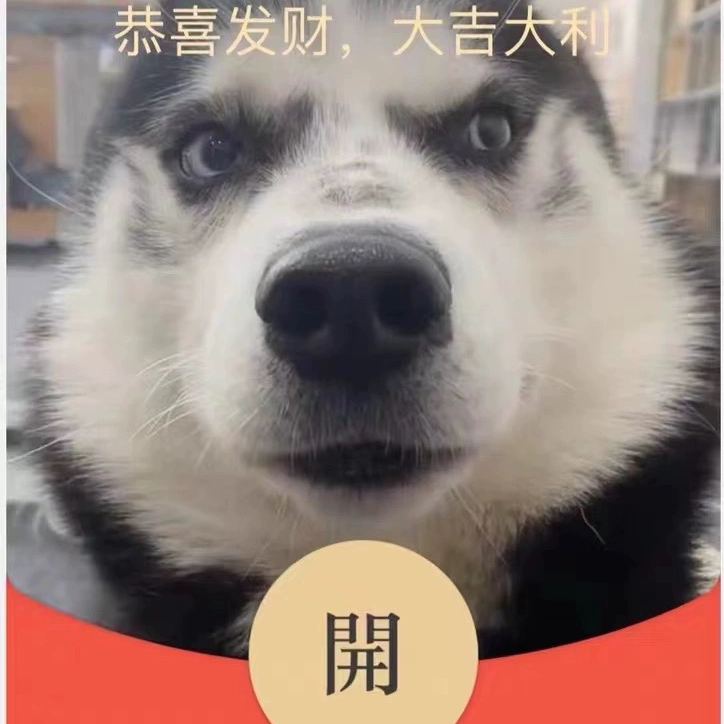 搞笑哈士奇红包封面爆款红包封面