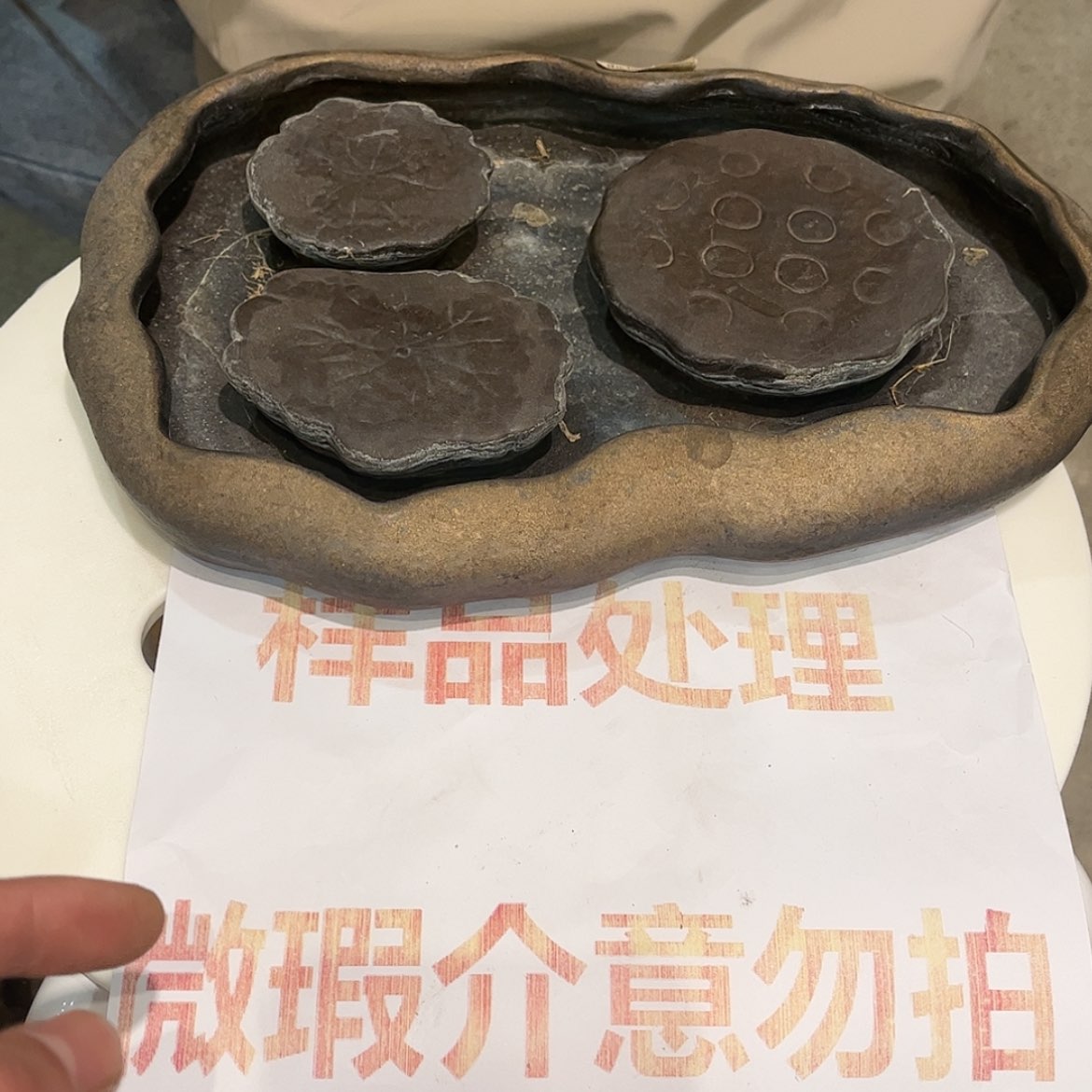 【闪购商品】陶瓷陶瓷