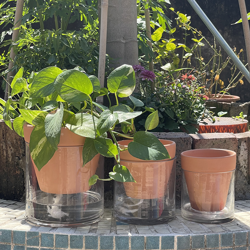 懒人自动自吸水双层储水免浇水绿萝植物水培容器红陶花盆简约透明