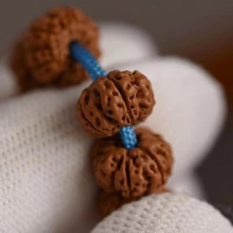 六瓣老树王108金刚菩提