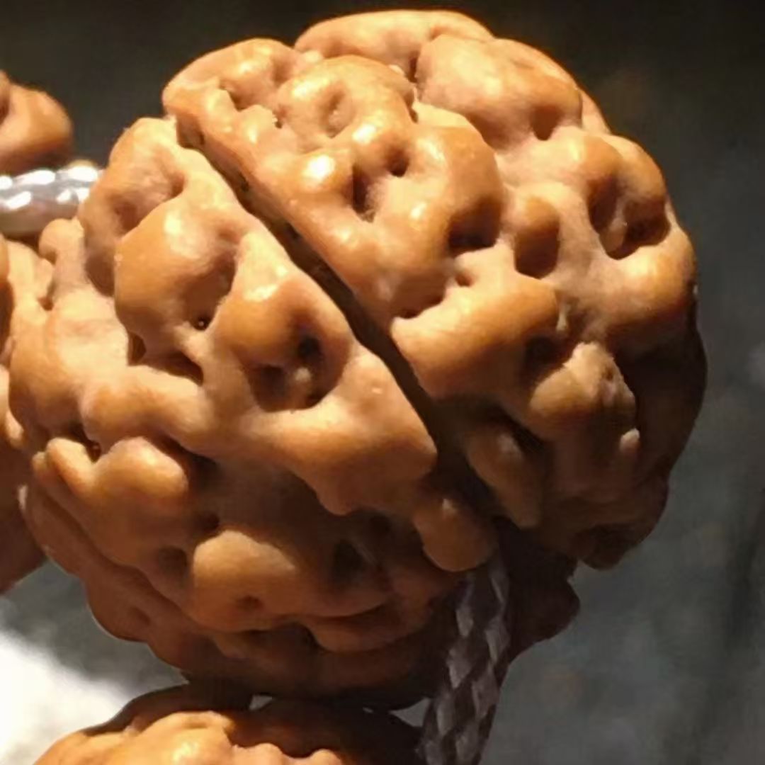 跳跳龙小金刚菩提籽爆肉双龙