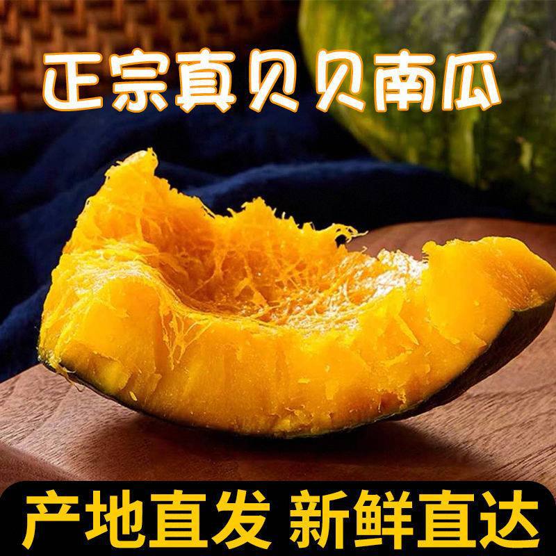 山东贝贝南瓜粉糯香甜辅食营养宝妈孕妇产地直发多规格装包邮
