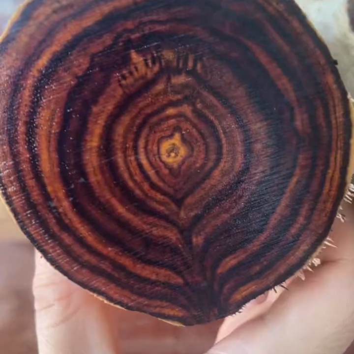 海南黄花梨定制2.5X10颗手串 所见即所得