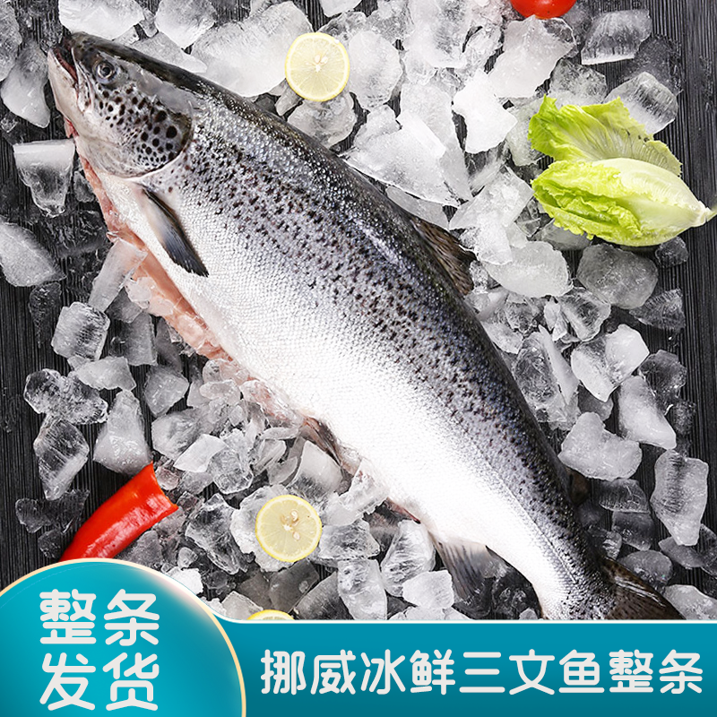 进口挪威冰鲜三文鱼【10-12斤】整条（大西洋鲑）