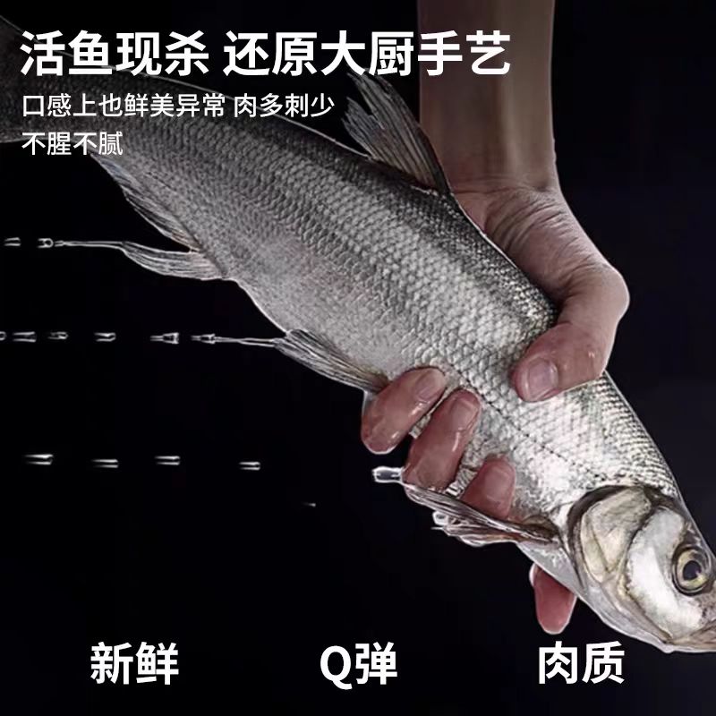 【如月甄选】江苏盐鲜大白鱼750g/条
