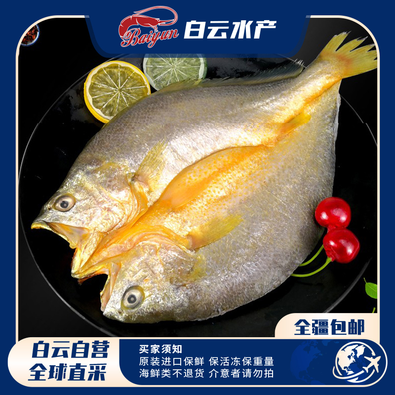【如月甄选】新鲜鲜嫩三去黄鱼鲞 900g/条*2