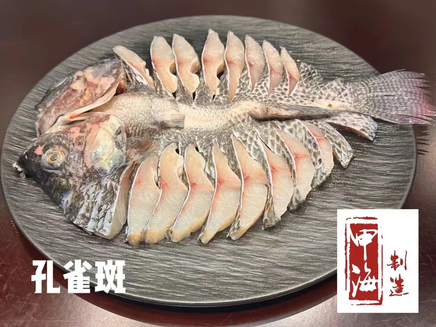 【如月甄选】甄选900-1000孔雀斑鱼