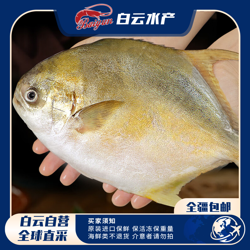 【如月甄选】鲜冻生态金鲳鱼 400g-800g/条