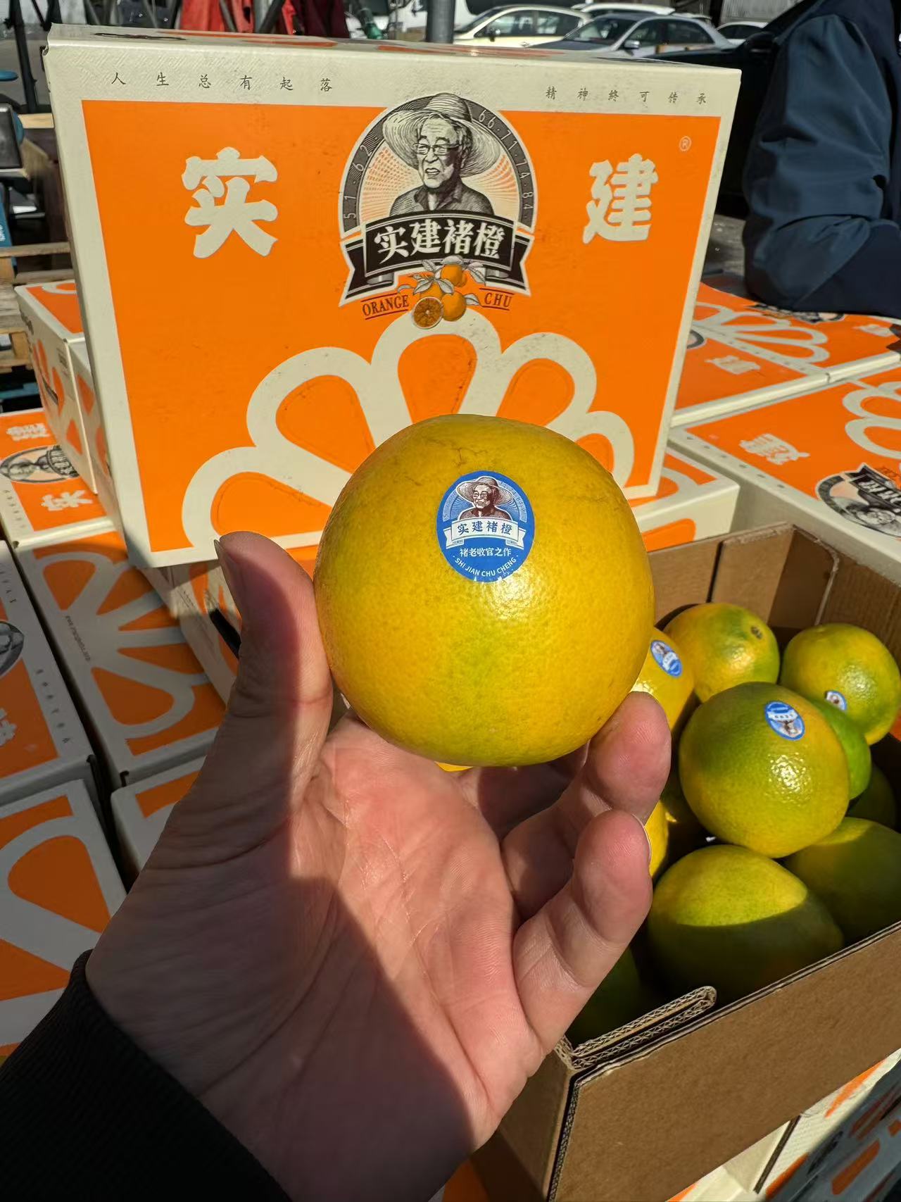  实建褚橙特级果  (10斤)/箱
