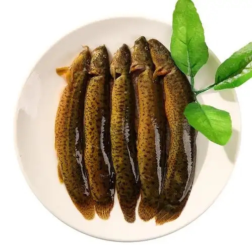 ［鲜活］泥鳅(中个)500克(约15条左右)泥鳅同城配