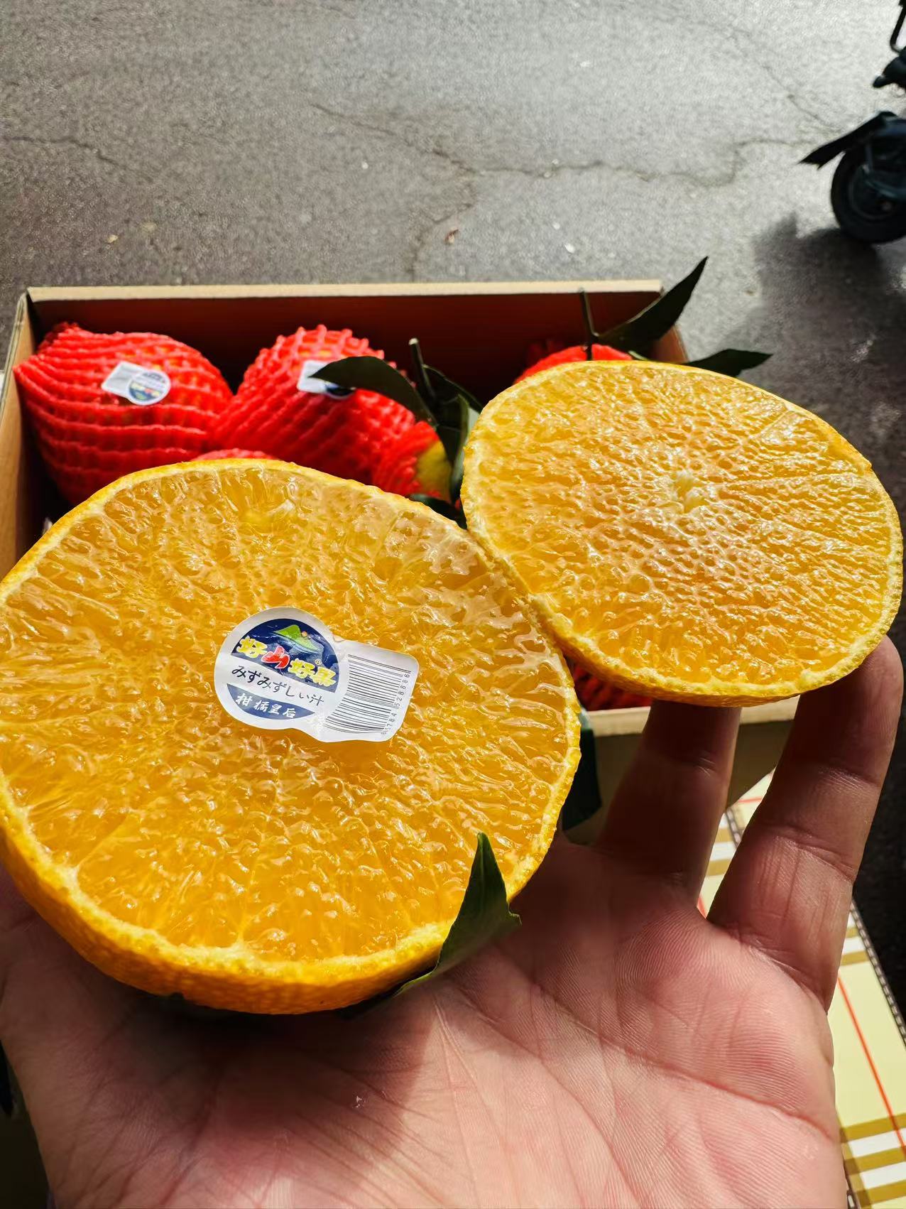 爱媛果冻橙 10斤/箱