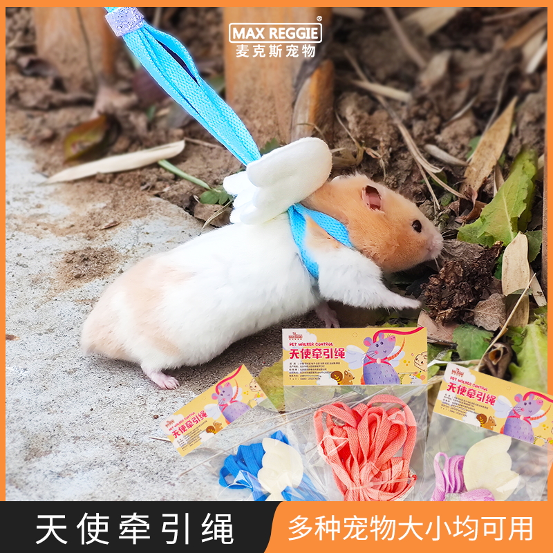 花枝鼠兔子龙猫荷兰猪貂天使翅膀胸背牵引绳遛鼠成熟专用项圈用品