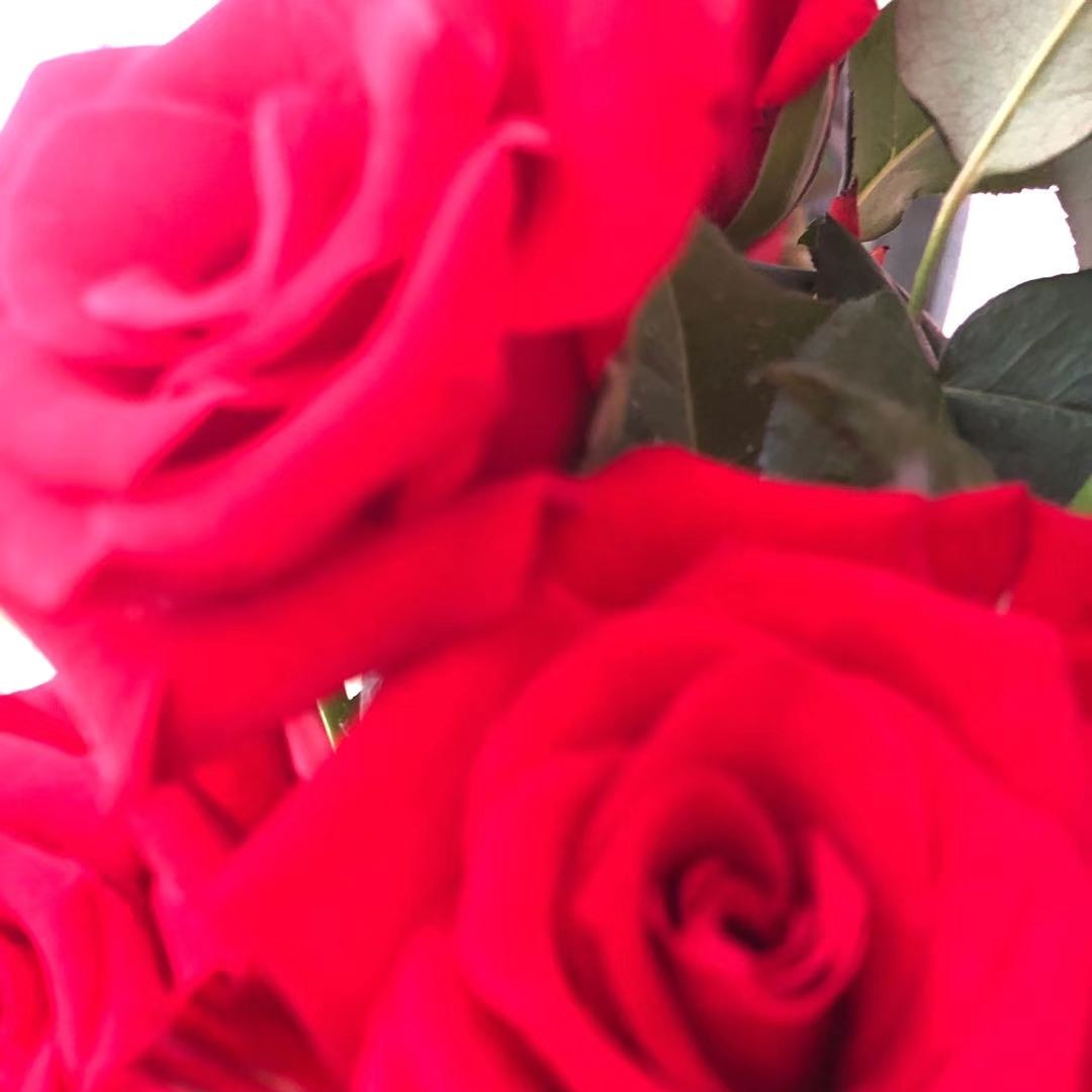 补发运费项（拍此项没有货）无玫瑰