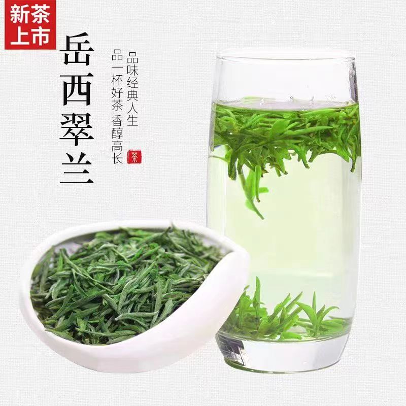 岳西翠兰2025新茶明前礼茶安徽茶叶绿茶翠尖春茶